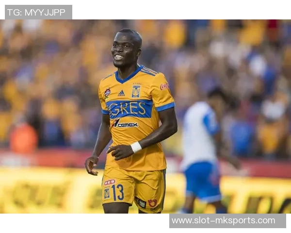 提格雷斯足球队的辉煌历程与未来展望：从地方球队到国际舞台的崛起之路